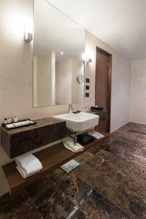 Luxury bathroom interior