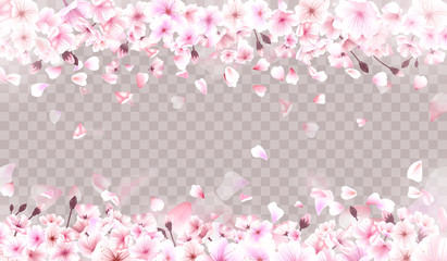 Blooming cherry. Spring background. Falling sakura pink petals. EPS 10 vector - 134301439