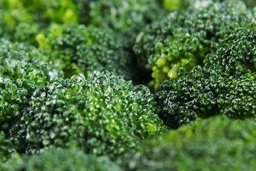 Wet fresh green broccoli with water drops closeup as background. Healthy vitamin food.
