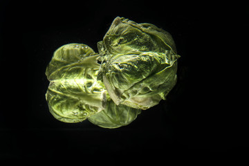 Heap of green fresh brussels sprouts in water