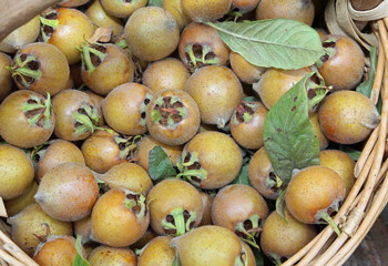 organic ripe loquats in a basket