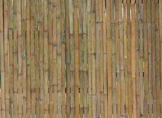 bamboo fence
