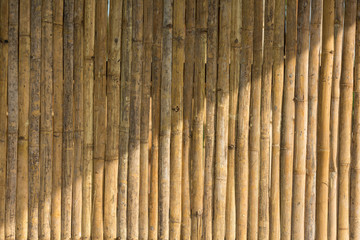 Sunlight shines on a bamboo fence