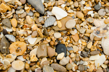 sea pebbles