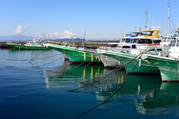 Fototapeta na wymiar 茅ヶ崎漁港の整然と並ぶの釣り船 真っ青な漁港の海面と整然と並ぶ釣り船が美しい。