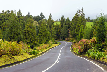 Scenic road on island Sao Miguel, the Azores, Portugal