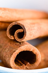 Close up of whole cinnamon sticks inside enameled cast iron pot.