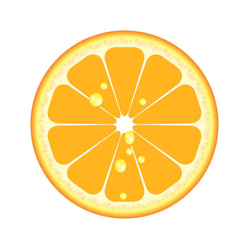 ripe juicy orange circle for design