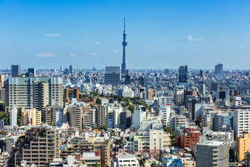 Naklejka premium Tokyo sky tree cityscape at clear sky day,Japan
