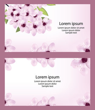Set card with cherry or sakura blossom and text. Vector