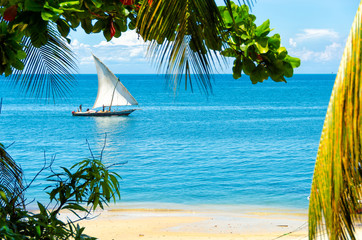 Sailing boat passing an empty sandy beach on a sunny day with some clouds in the sky. The scene is framed by branches and palm tree leaves   - obrazy, fototapety, plakaty