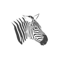 Zebra icon - vector Illustration 