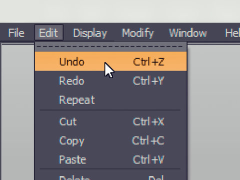 Software menu item with undo (cancel) command