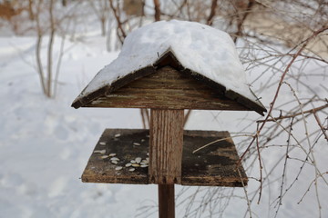 Birdhouse-feeder in the snowbound winter city park