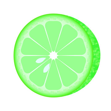 round cut fresh lime slice sour