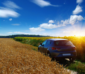 car on a field