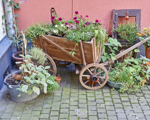 Fototapeta na wymiar retro wooden wagon full of flowers and plants