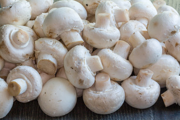 Gros champignons de Paris - Agaricus bisporus - en tas