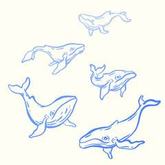 Whales