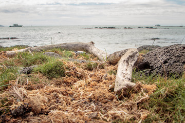 Fototapeta premium beautiful coastal beaches