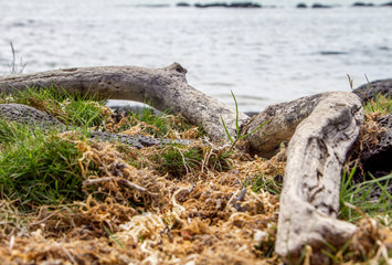 beautiful coastal beaches