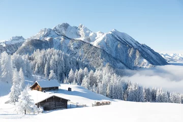 Deurstickers Winterwonderland in de Alpen © Olha Sydorenko