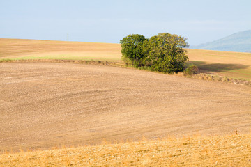 Moravian Fields. The landscape around Kyjov called the Moravian Tuscany, Czechia, Europe.