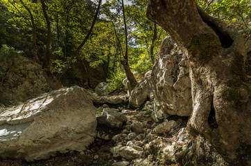 Fototapeta premium Agios Antonios Schlucht, Kreta, Griechenland