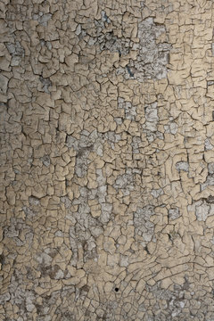 texture cretto