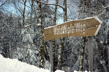 winter in sankt englmar - waldwipfelweg