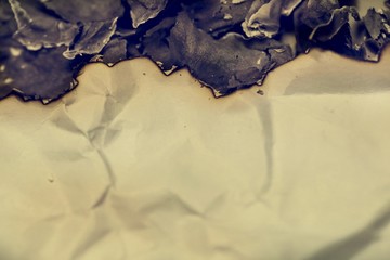 The paper was burned is ashes. Abstract background. copy space for add text or industry concept.
