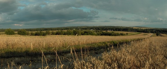Wyzyna Lubelska - Panorama. © M. G. Koperkiewicz