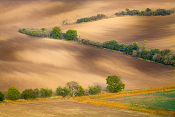 Moravian Fields. The landscape around Kyjov called the Moravian Tuscany, Czechia, Europe.