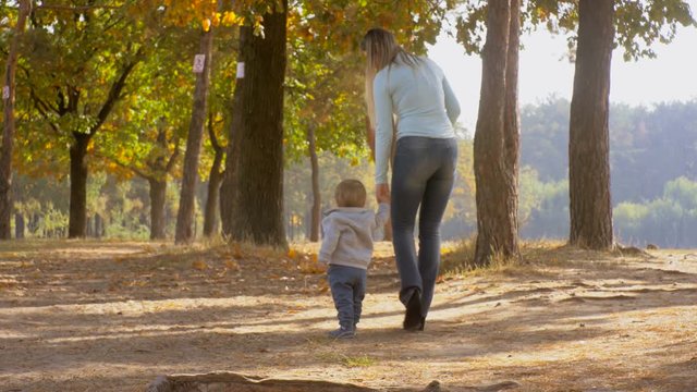 Adorable baby boy walking with mother in autumn park at sunny day
