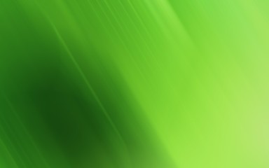green abstract background