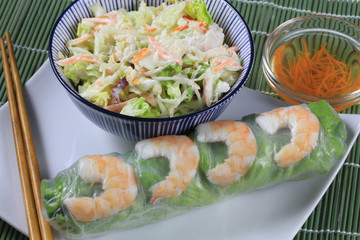 rouleau de printemps 22012017