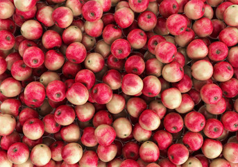 fresh red and yellow apples 3d render