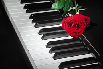 grand piano with red rose