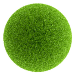 Sphere covered with green grass isolated on white background.