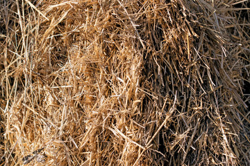 hay as background