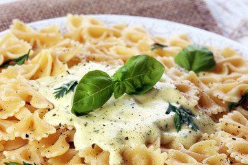 Delicious creamy Italian penne pasta starter with pepper seasoni