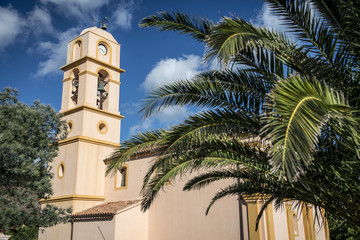 Eglise et palmier en Corse