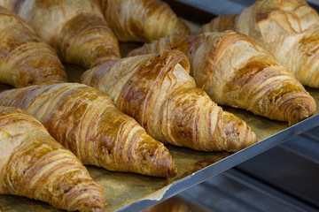 croissants in the oven