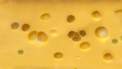 cheese with holes
