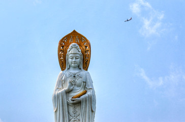 Nanshan Guanyin