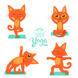 cat position