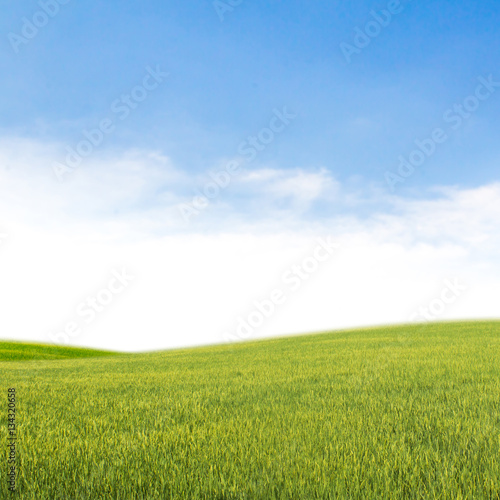 "field on a background of the blue sky" Stock photo and royalty-free