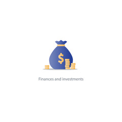 Award money, prize for win, rich and wealthy, finance budget fund vector icon