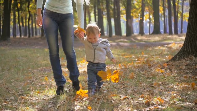 Slow motion footage of happy smiling baby boy holding leaves and walking at park with mother