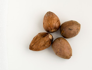 Four avocado seeds isolated on a white background